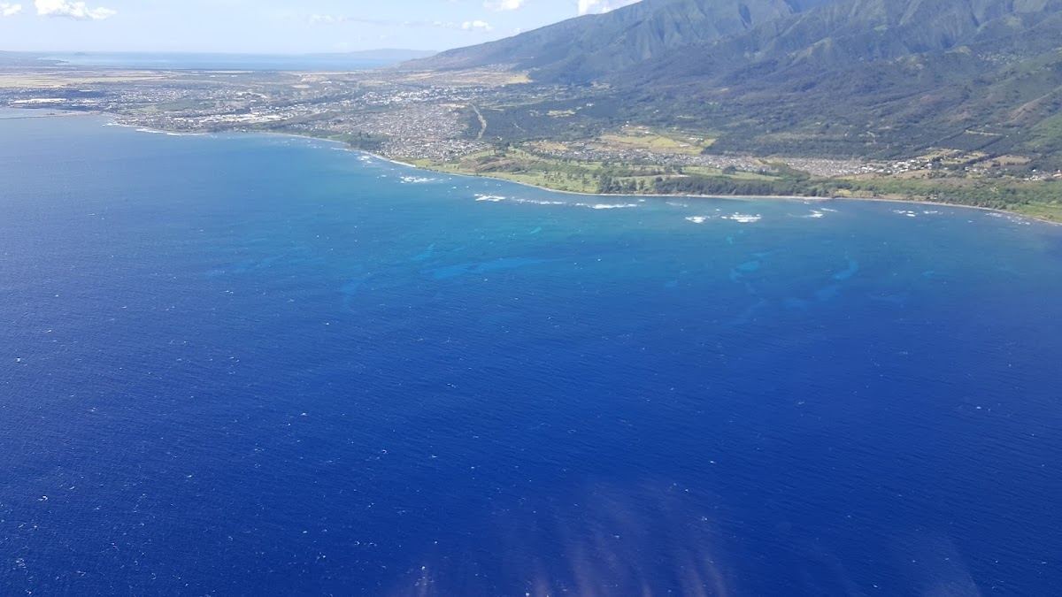 Waiehu Heights Park