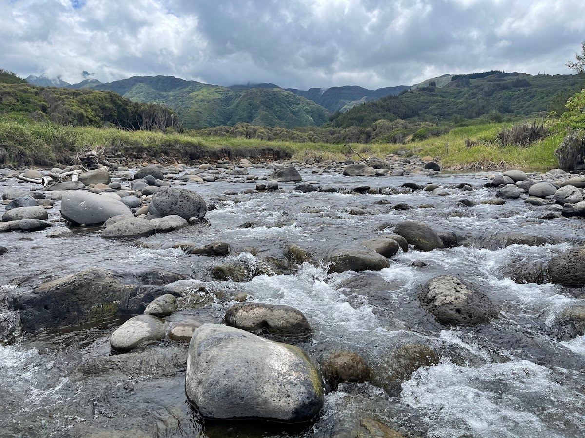 Waihe‘e Coastal Dunes and Wetlands Refuge
