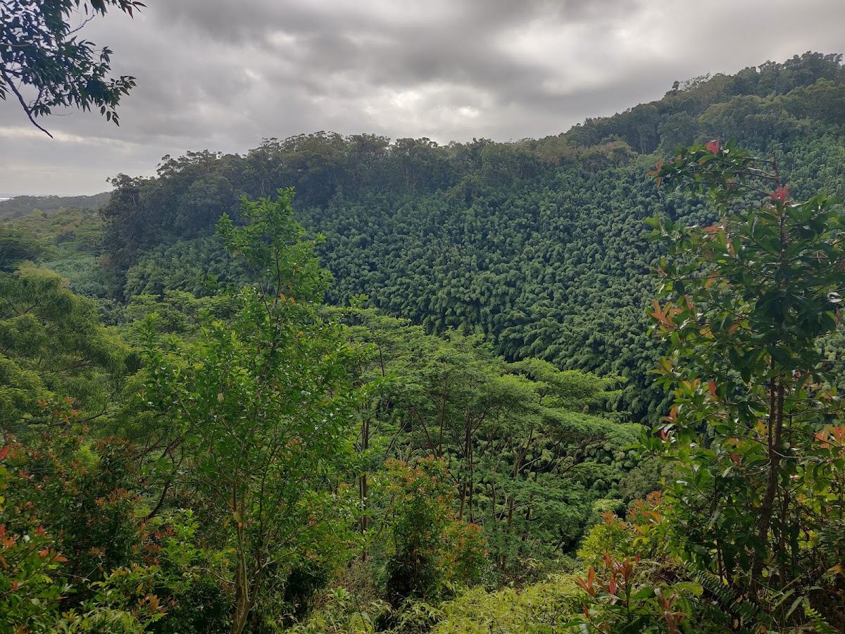 Waikamoi Nature Trailhead and Parking Area