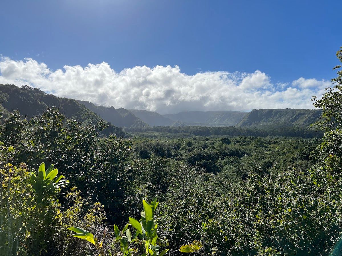 Wailua Valley Lookout