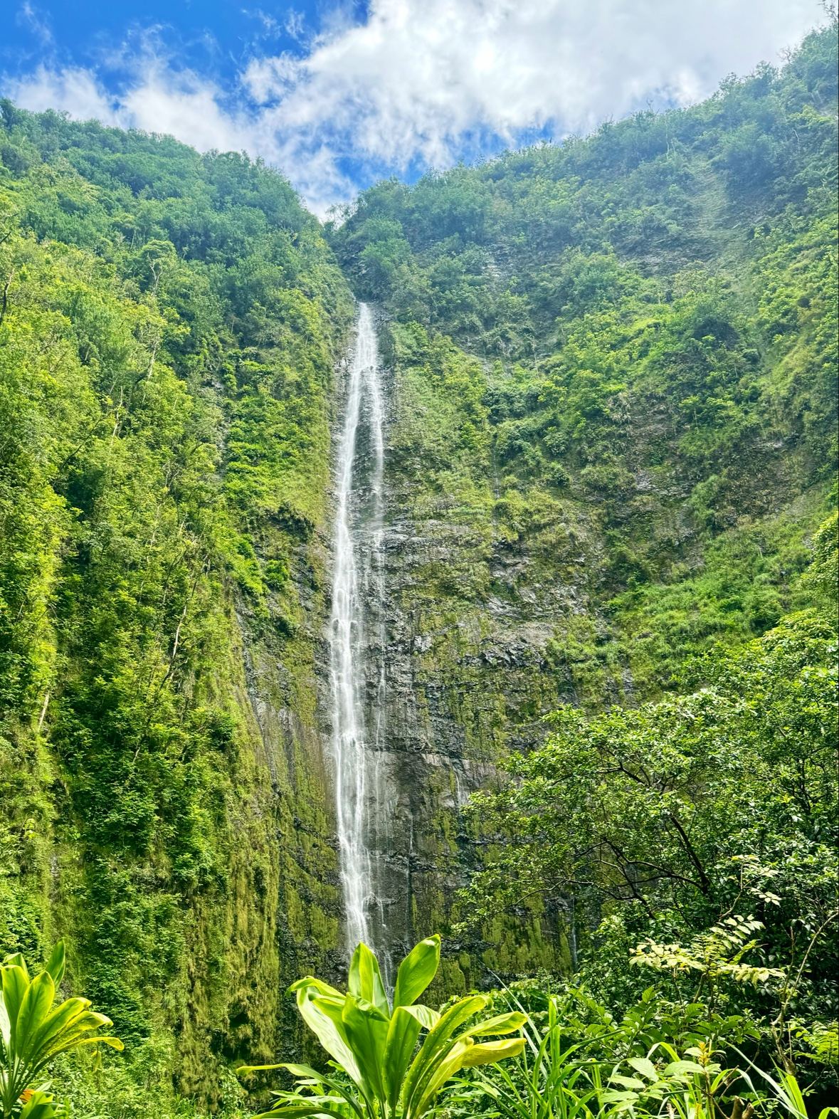 Waimoku Falls