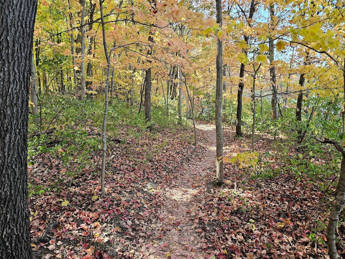 Comlara Park Bike Trails