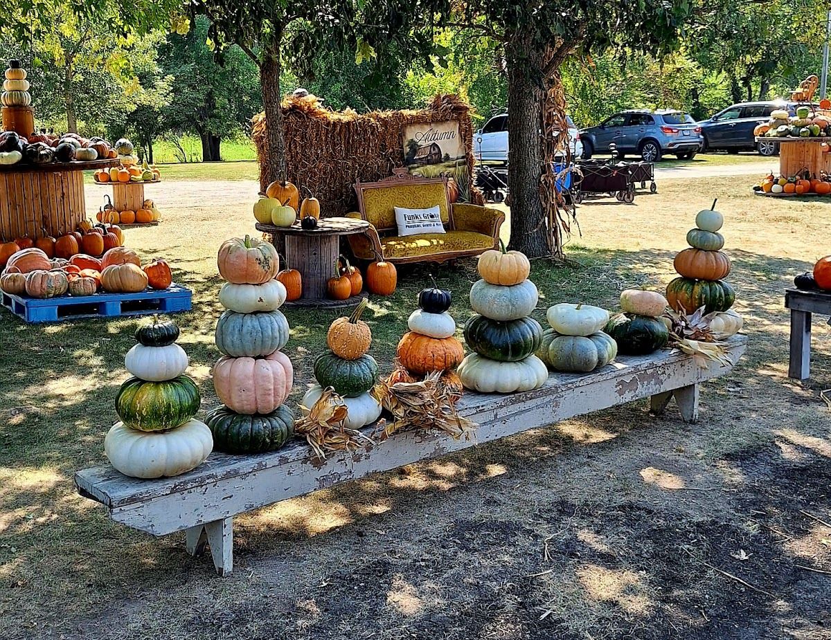 Funk's Grove Pumpkins, Gourds, and More