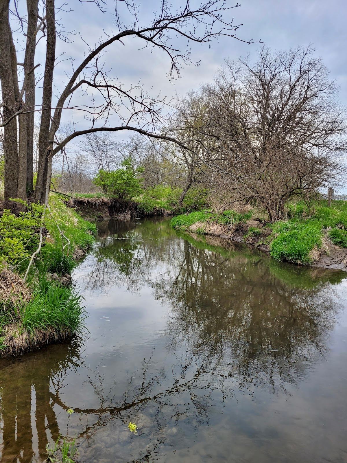 Kenneth L. Schroeder Wildlife Sanctuary parking lot