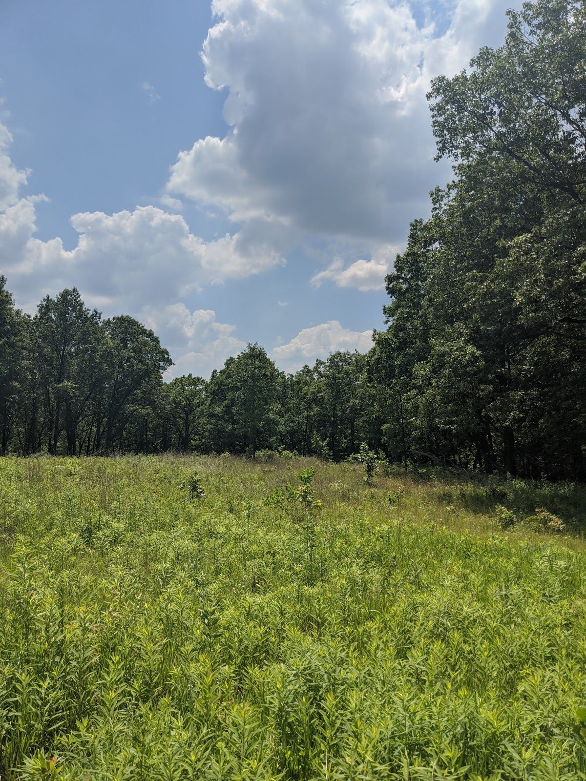 ParkLands Ridgetop Hill Prairie Nature Preserve