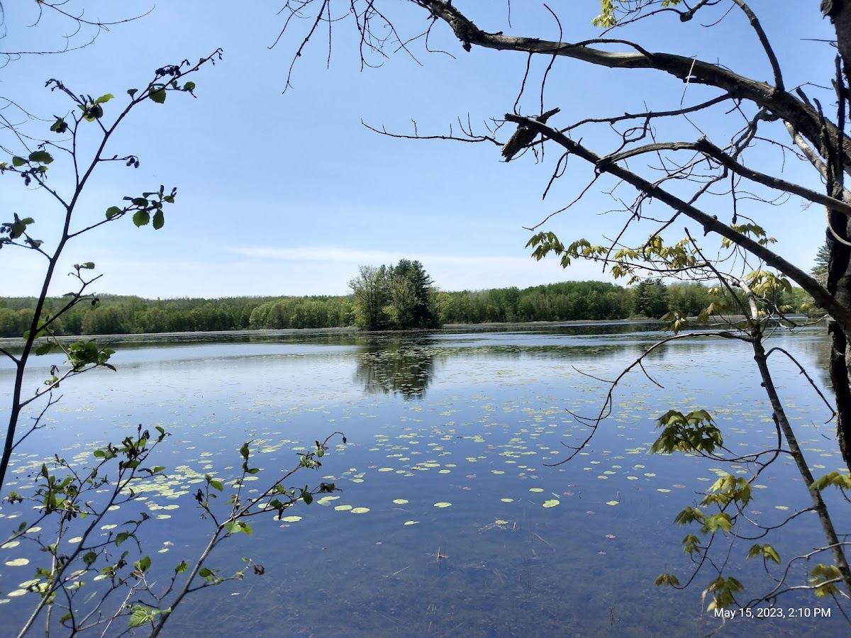 Haymarsh Lake State Game Area