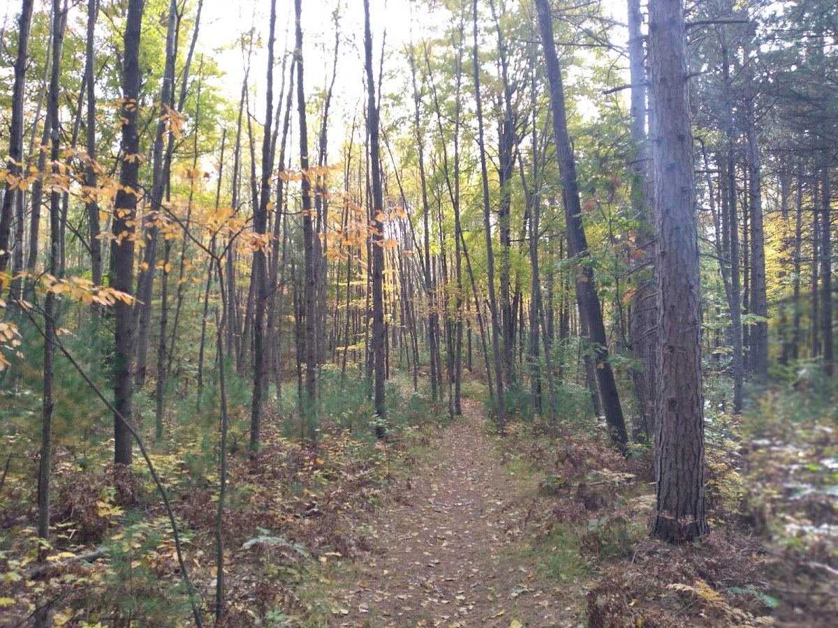 White Pine Valley Recreation Area