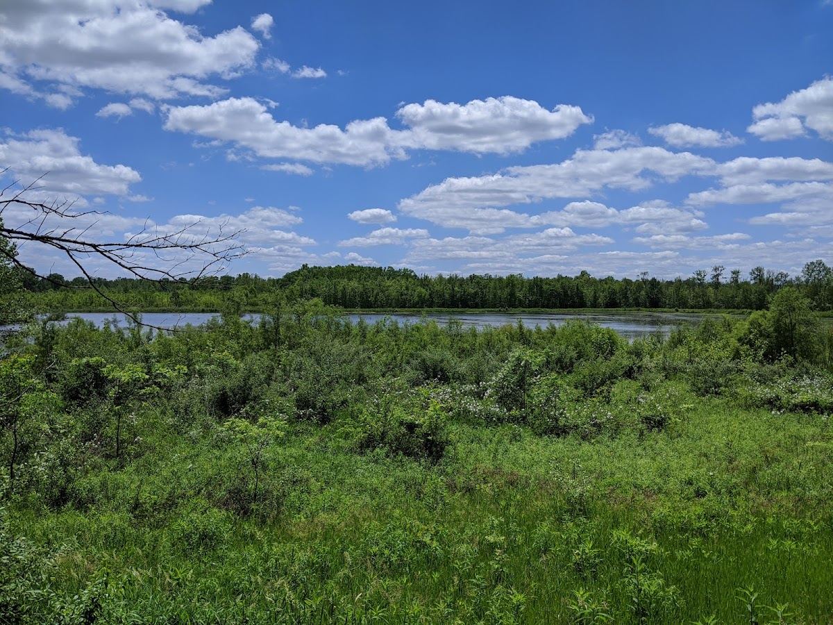 Muscatatuck National Wildlife Refuge - Restle Unit