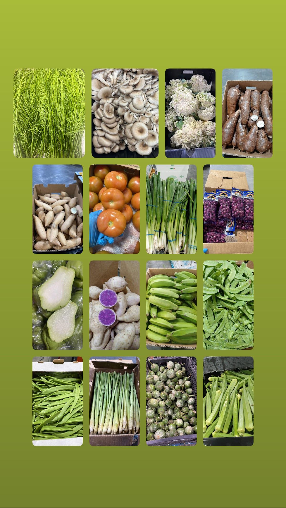 Phyu Asian Grocery