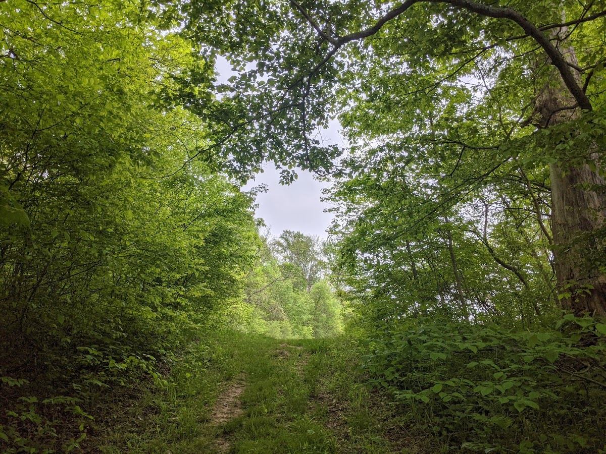 Powell Preserve