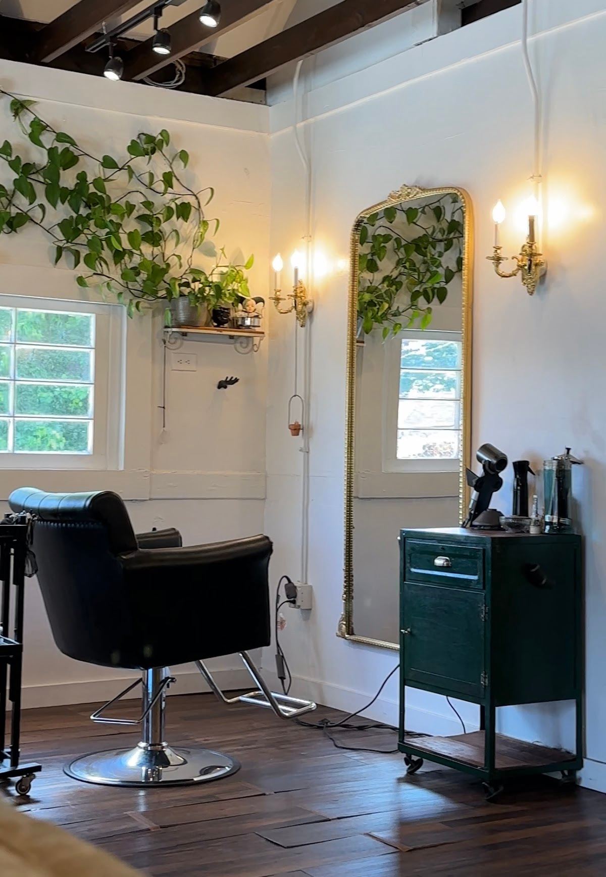 Snapdragon Salon | Art Collective