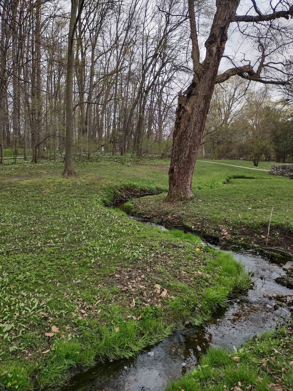 Arboretum Park
