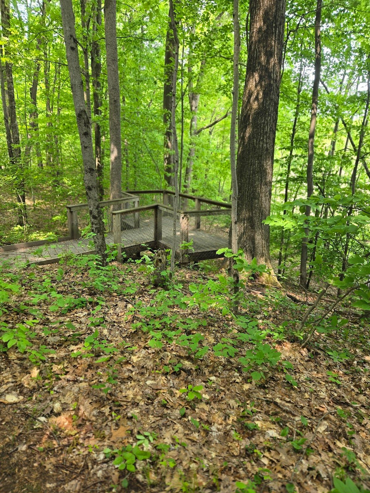 Ensley Township Nature Preserve