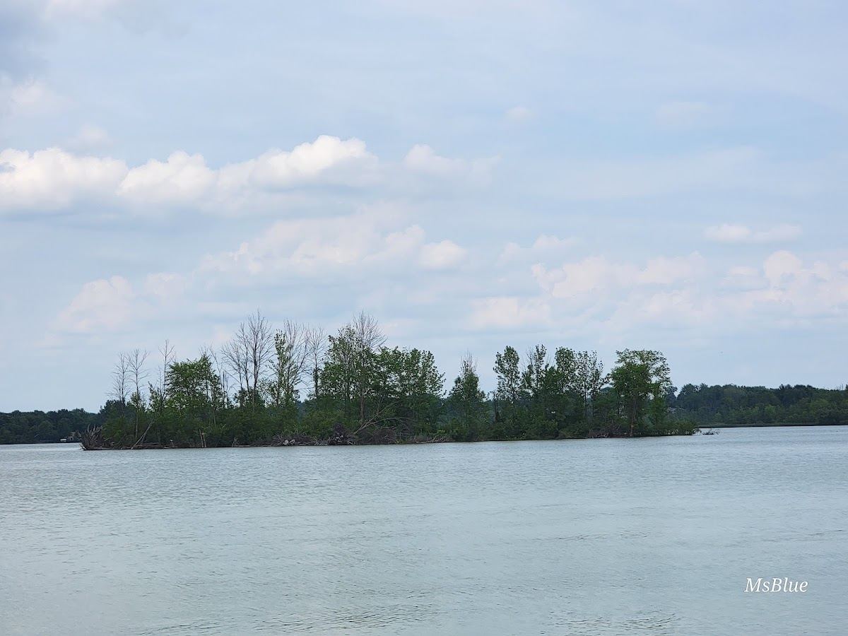 Geese Island