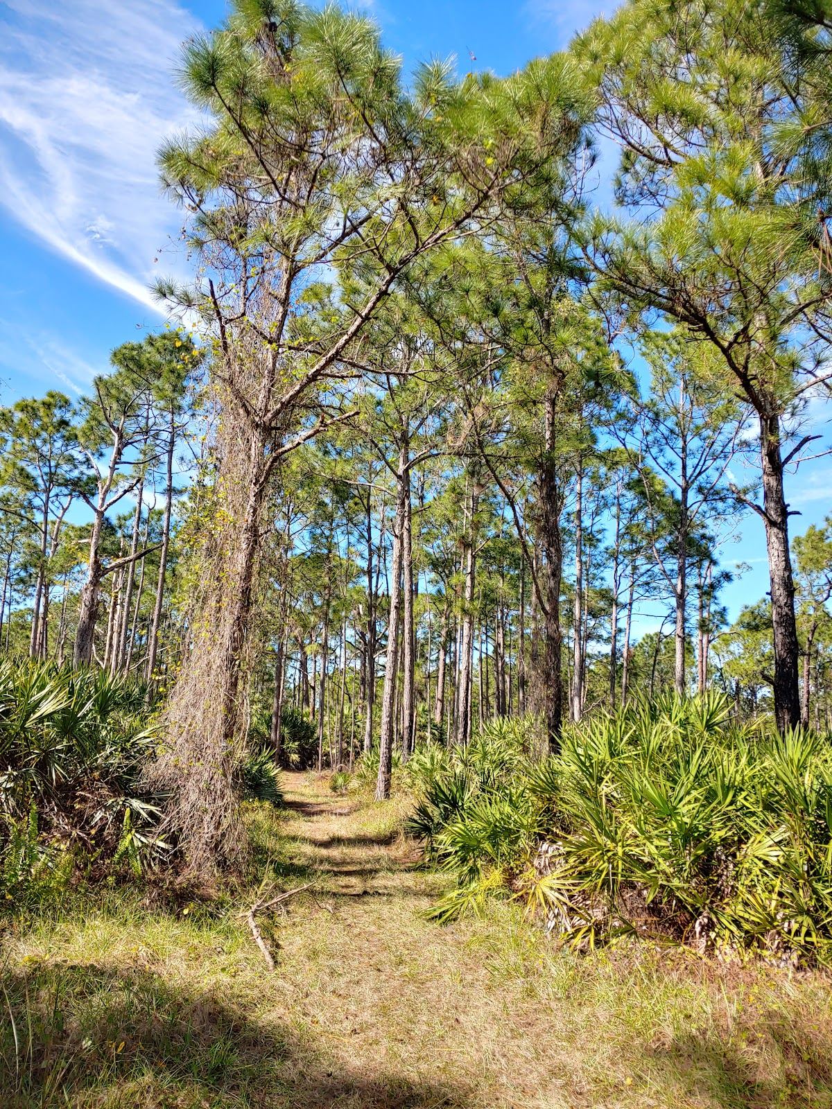Bluefield Preserve