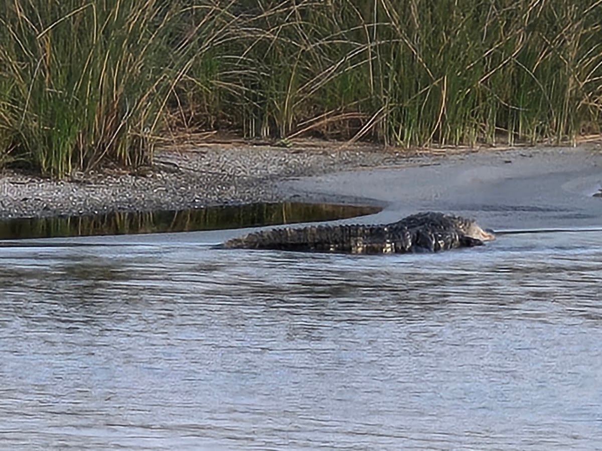 Okeechobee Lake Scenic Trail
