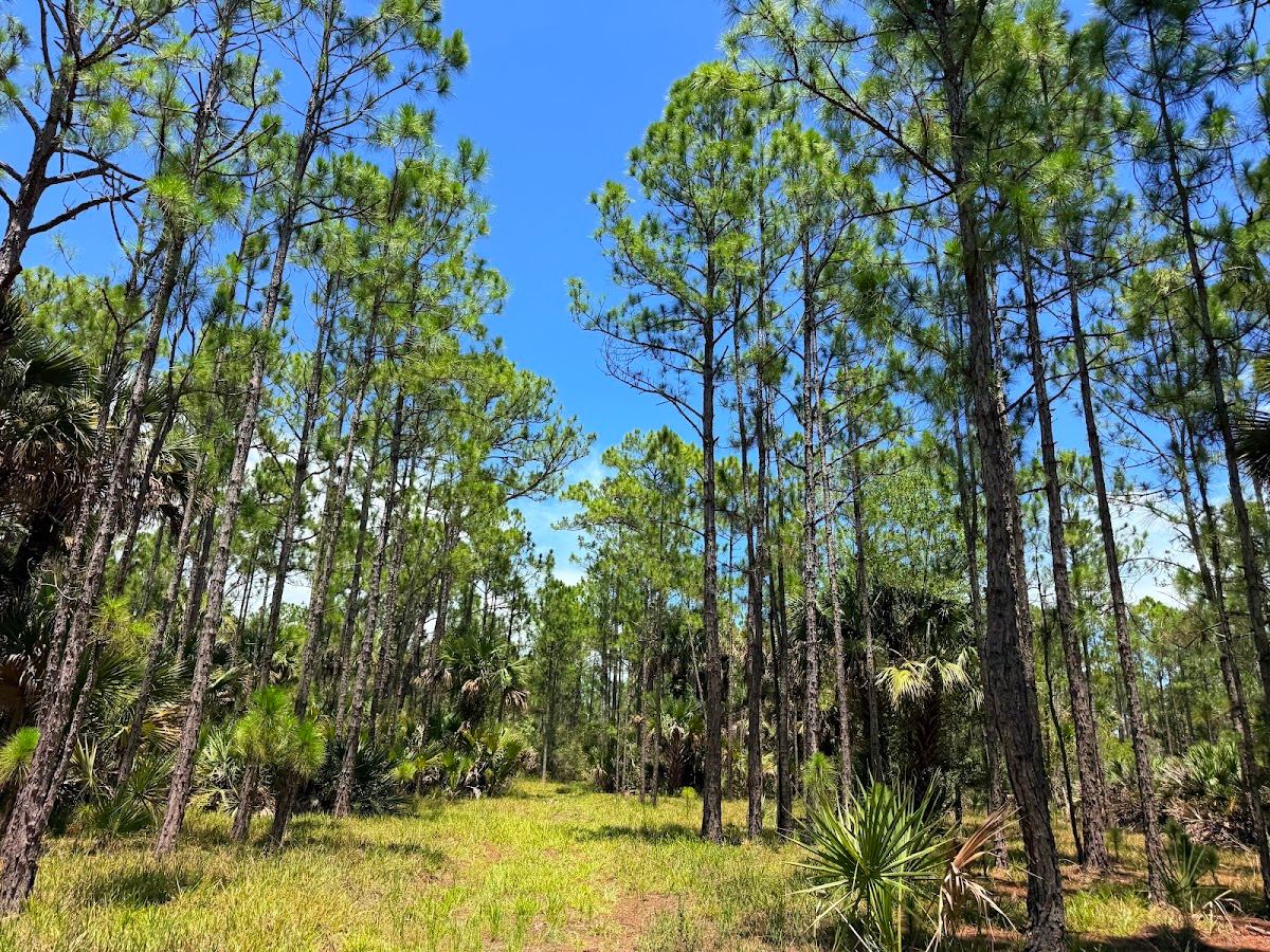 Pinelands Preserve