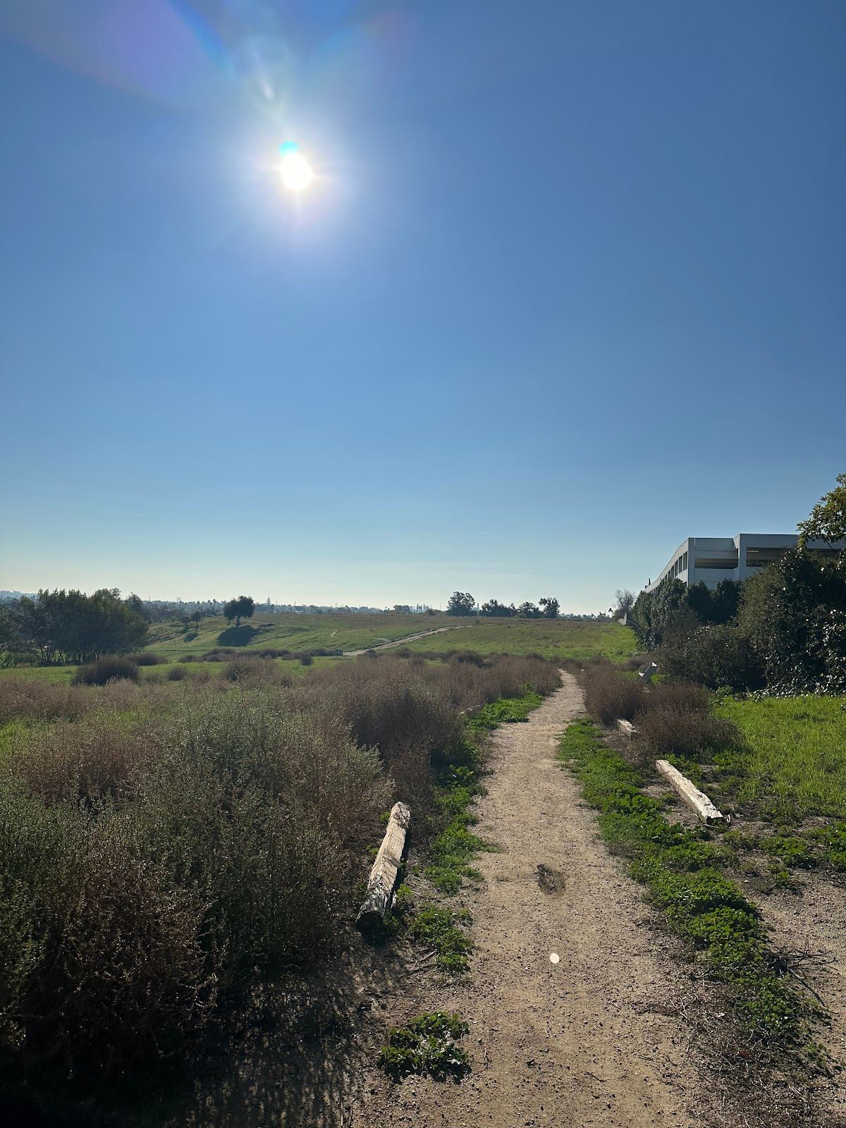 Bartlett Park