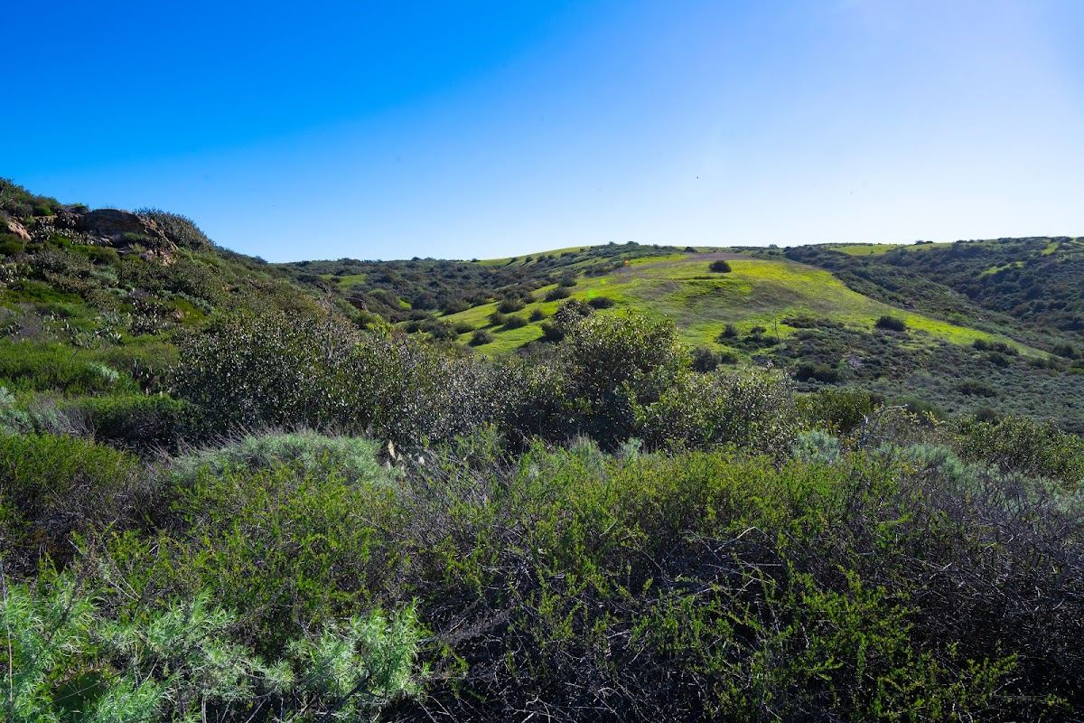 Bommer Vista Trailhead