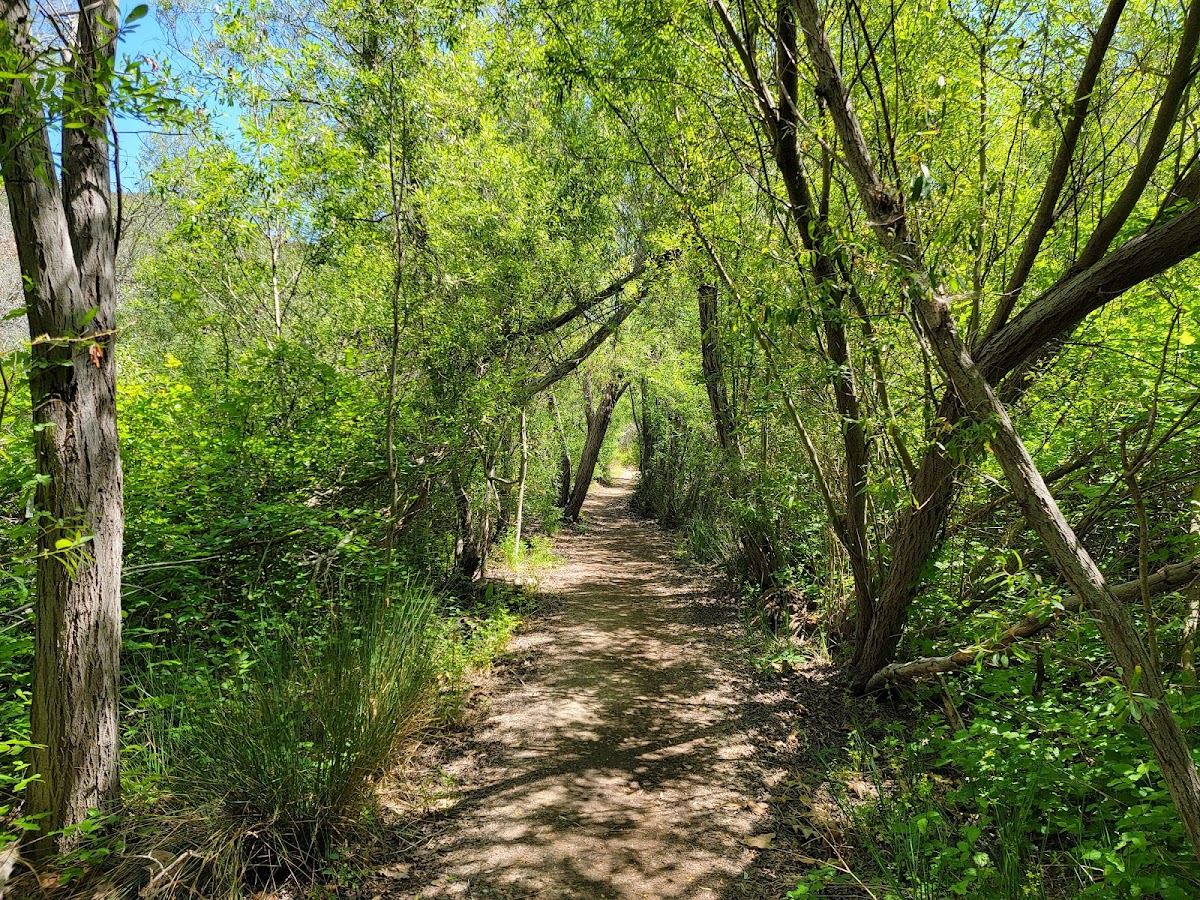 Buck Gully Reserve