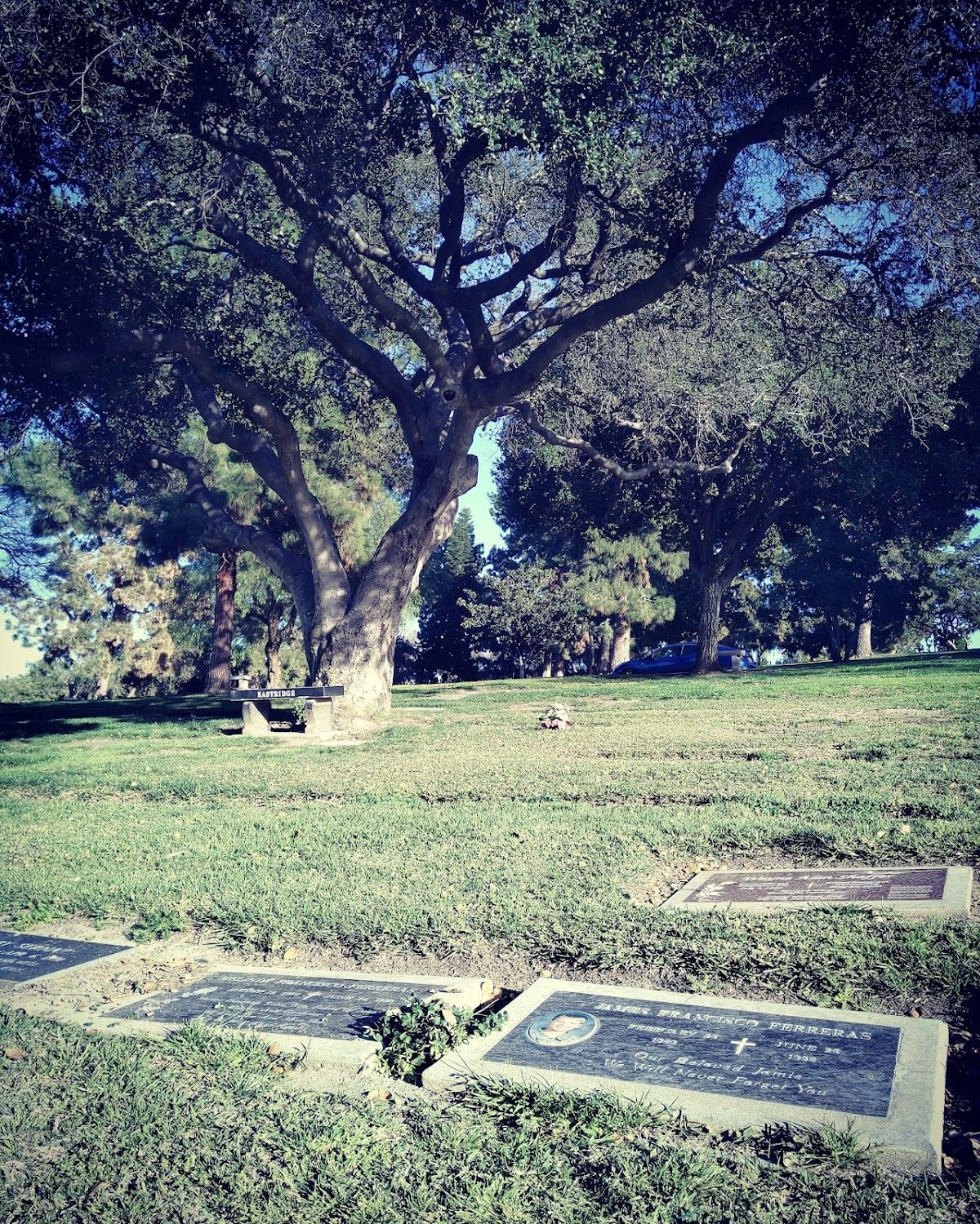 El Toro Memorial Park
