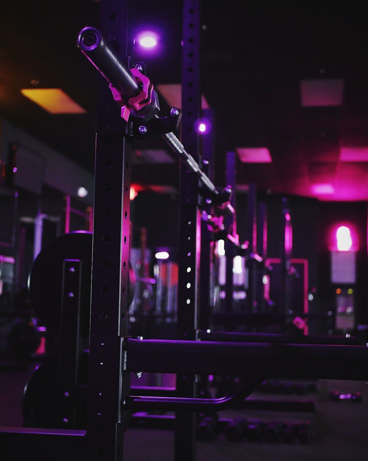 Glute Camp & Fitness