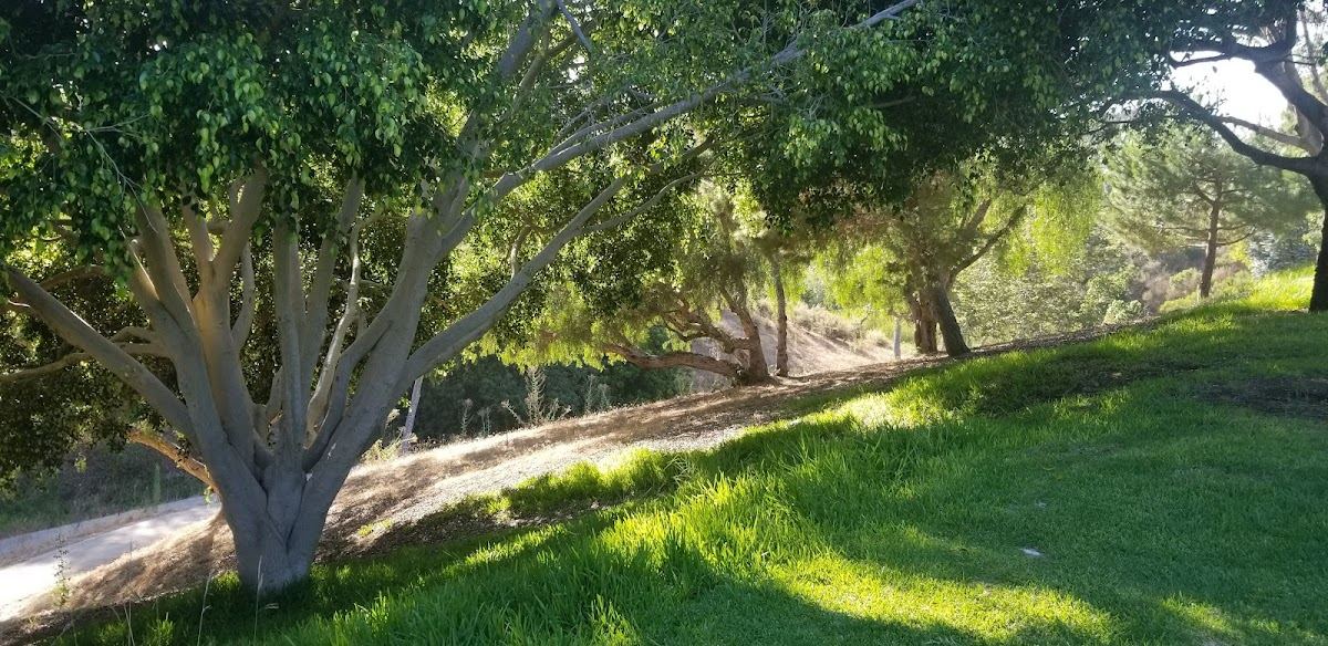Harbor View Nature Park