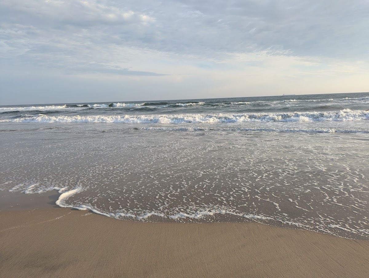 Huntington State Beach