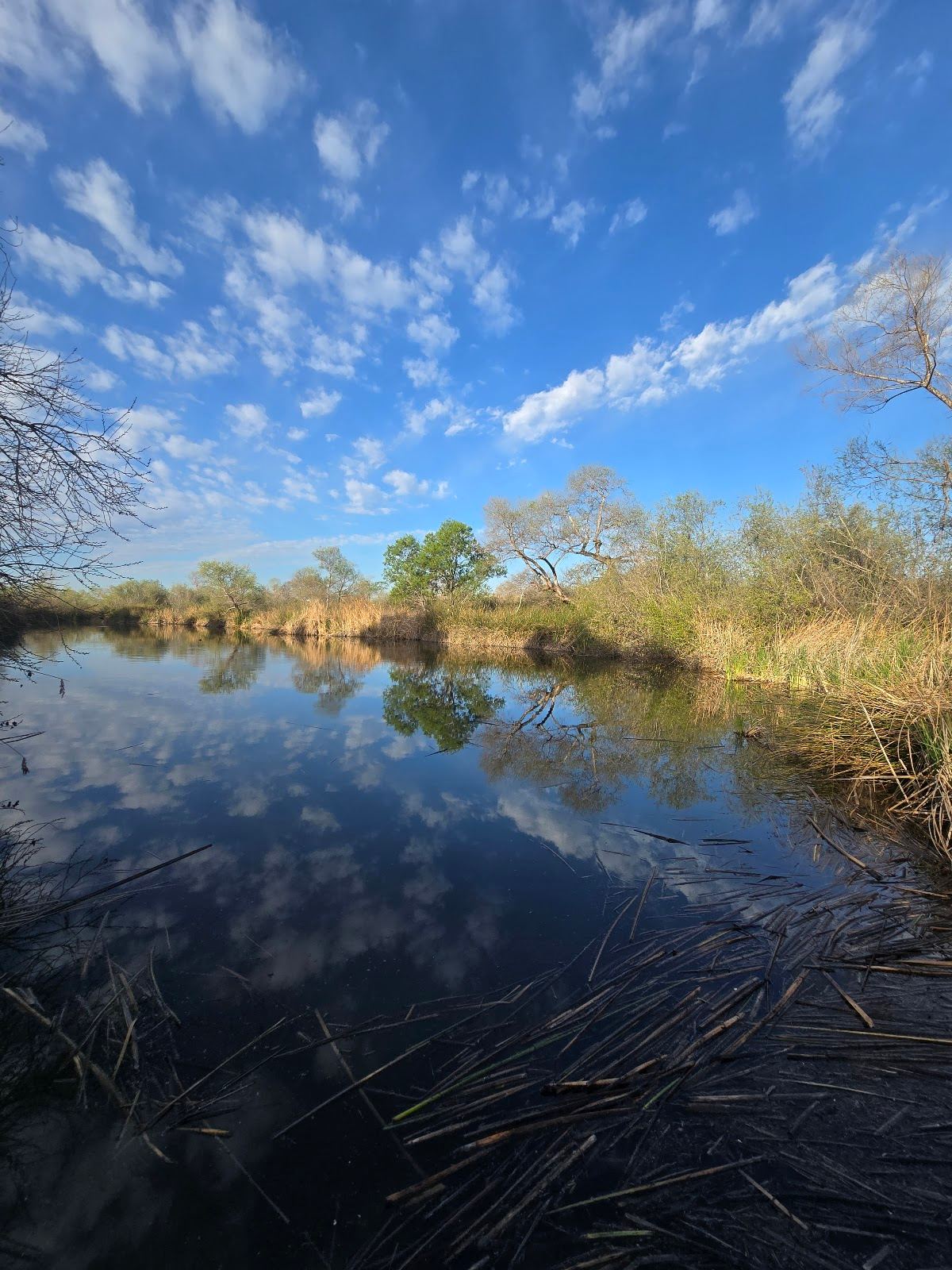 IRWD San Joaquin Marsh & Wildlife Sanctuary