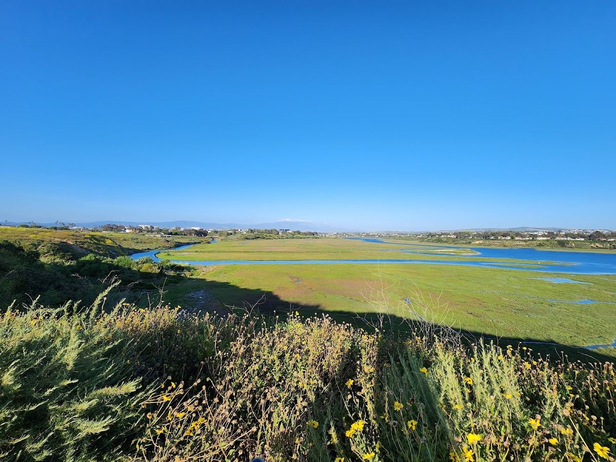 Newport Bay Conservancy
