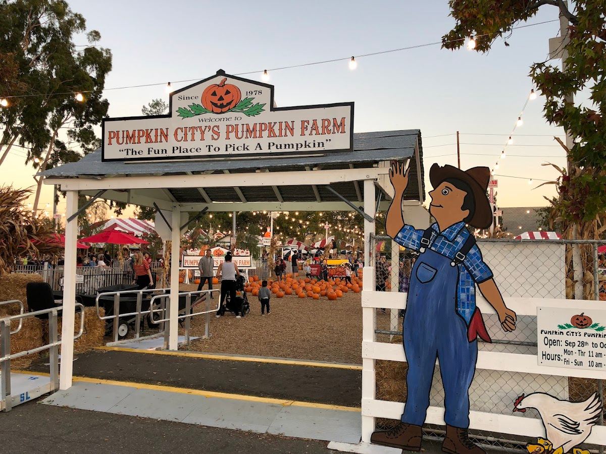 Pumpkin City's Christmas Trees