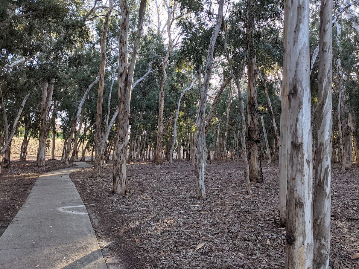 Serrano Creek Park