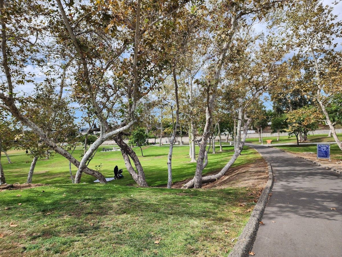 Sycamore Park