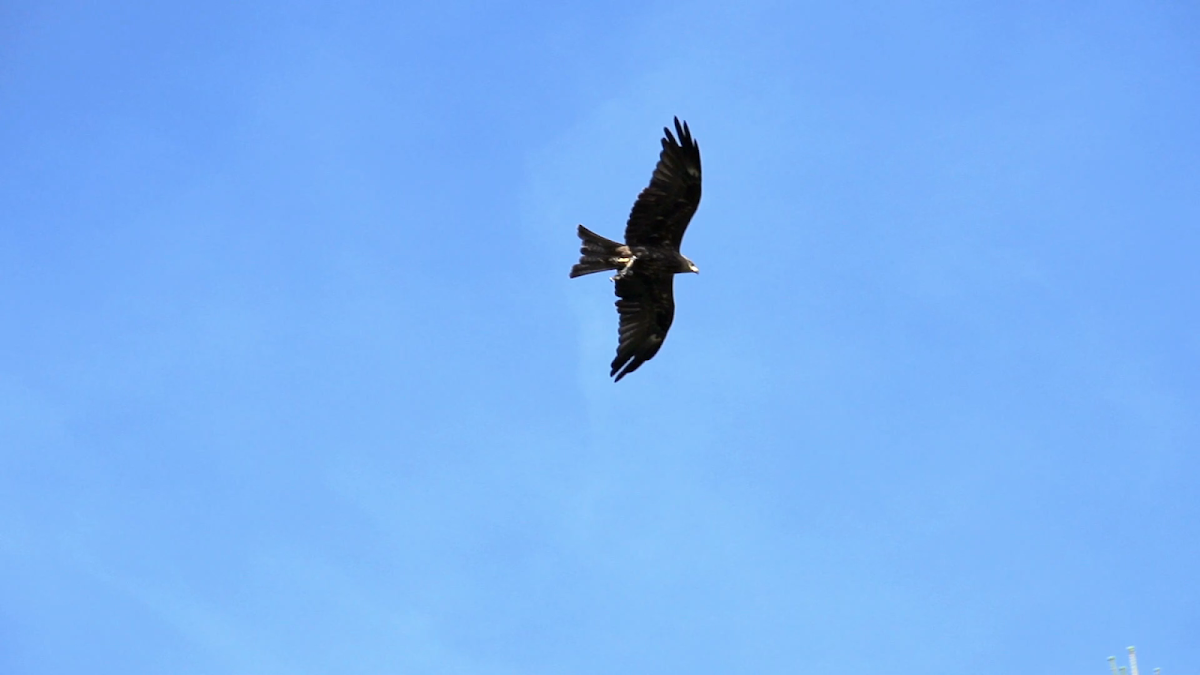 Audubon Park