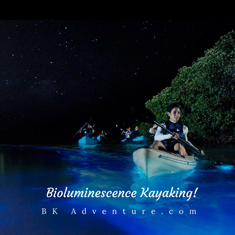 BK Adventure Florida - Bioluminescence Tours
