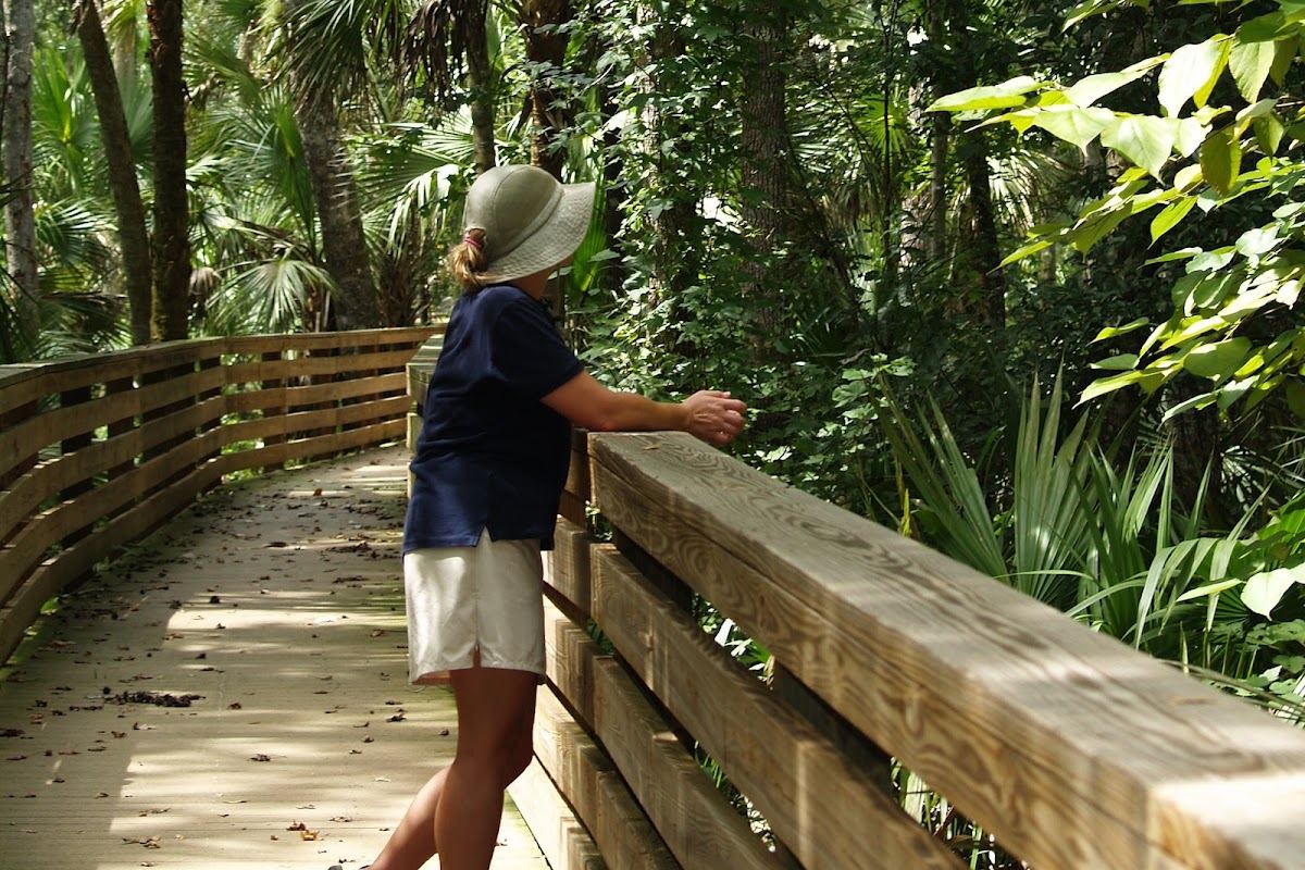 Black Hammock Wilderness Area