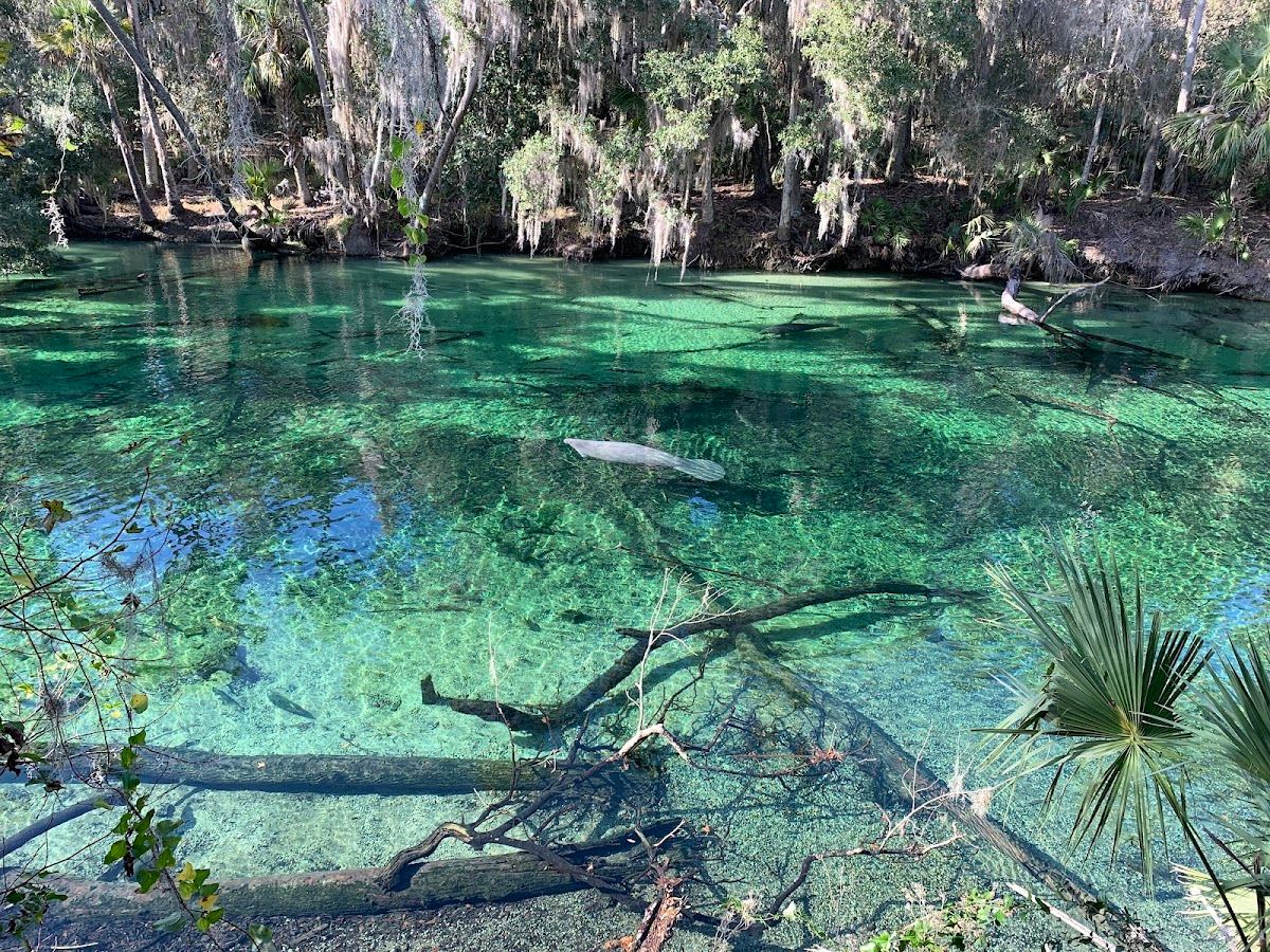 Blue Spring State Park