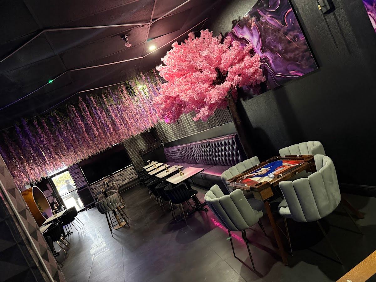 Blvck Cat Bistro Cafe