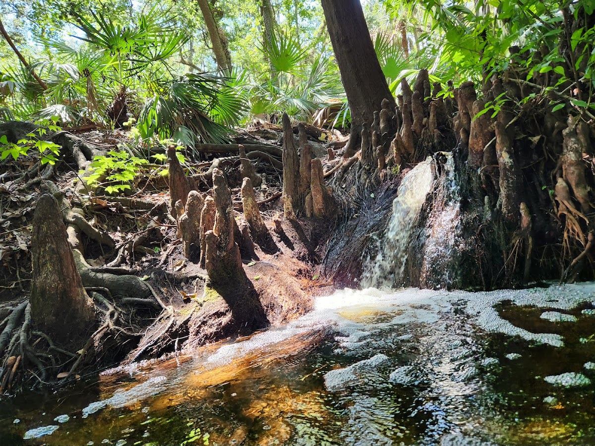 Boonie Falls