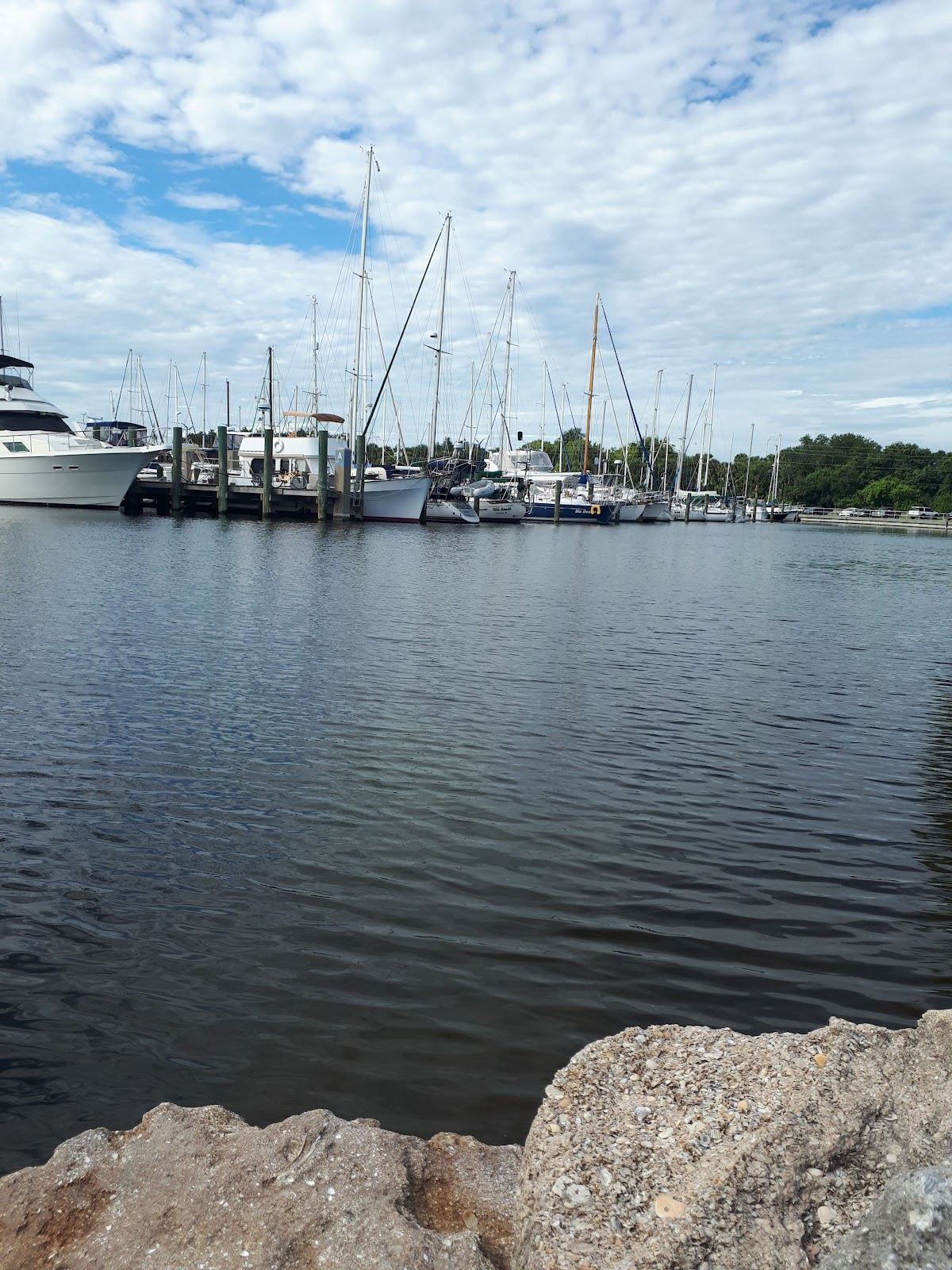 Brevard County Marina Dog Park