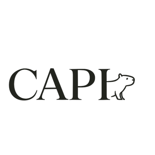 CAPI