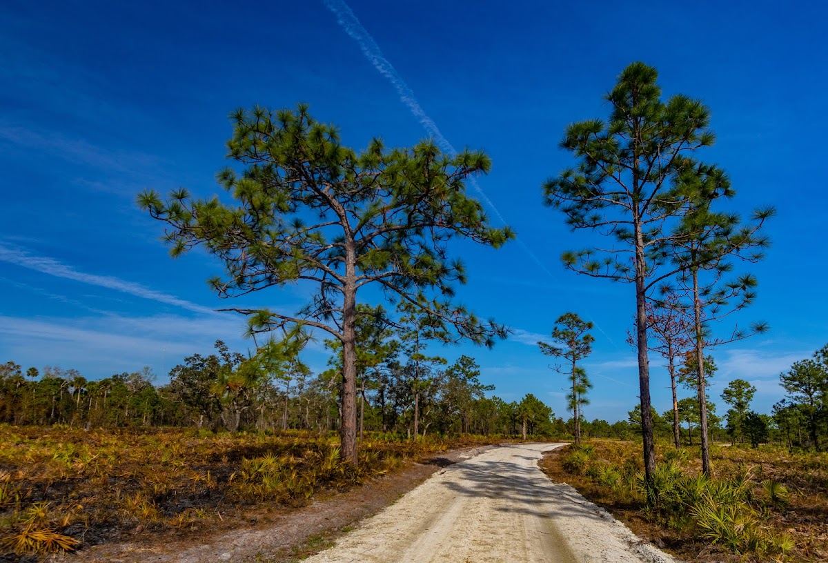 Charles H. Bronson Wildlife Management Area