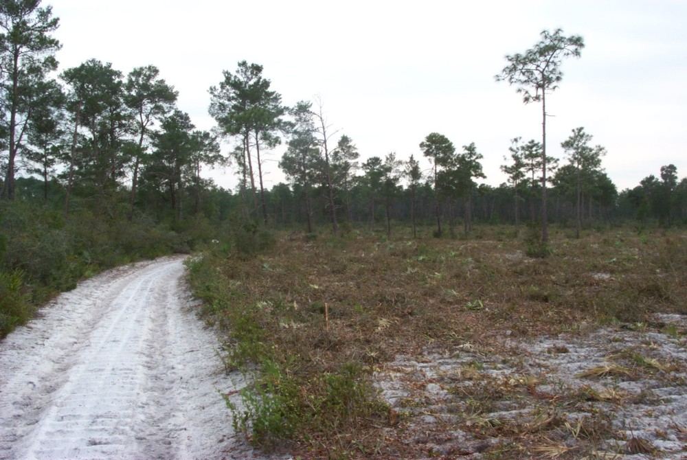 Chuluota Wilderness Area
