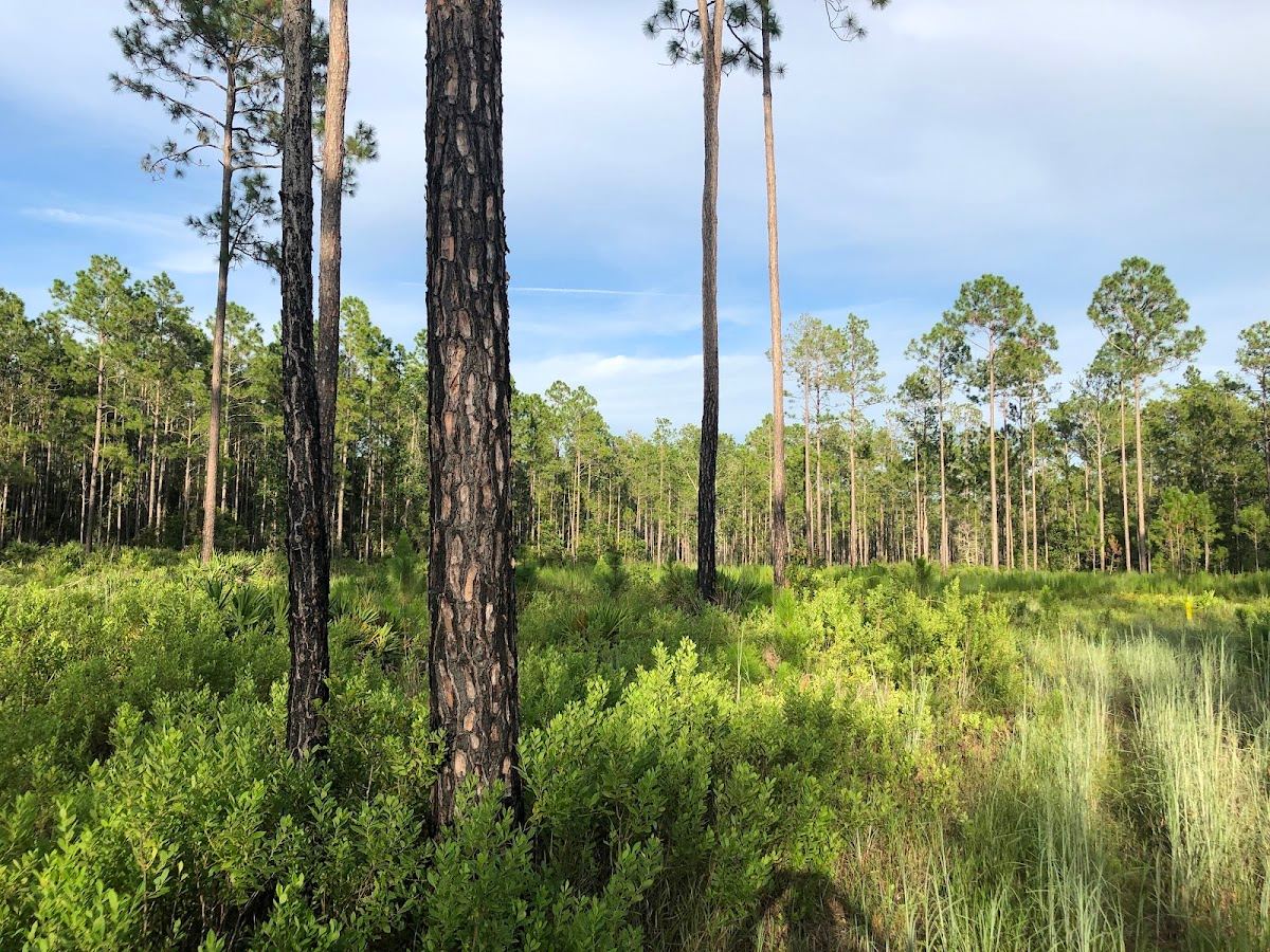 Deep Creek Preserve