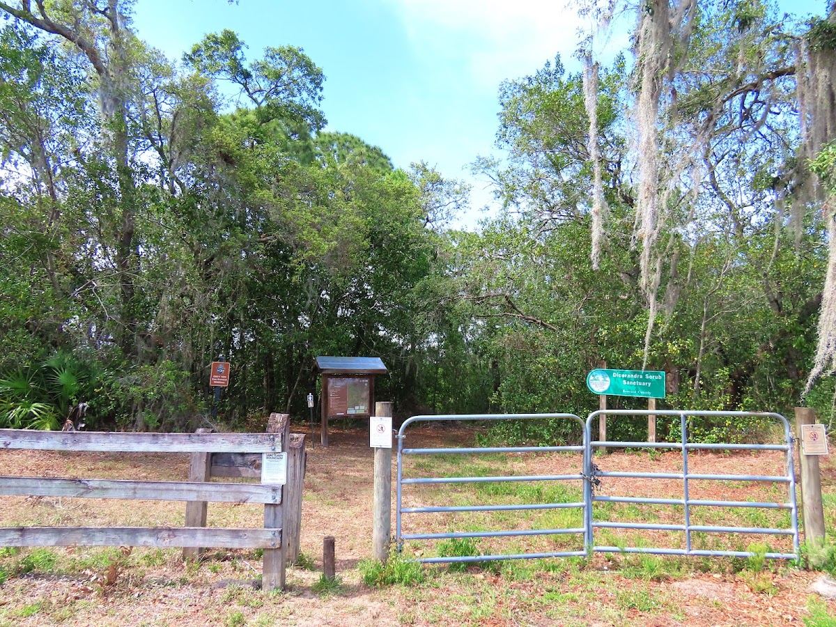 Dicerandra Scrub Sanctuary