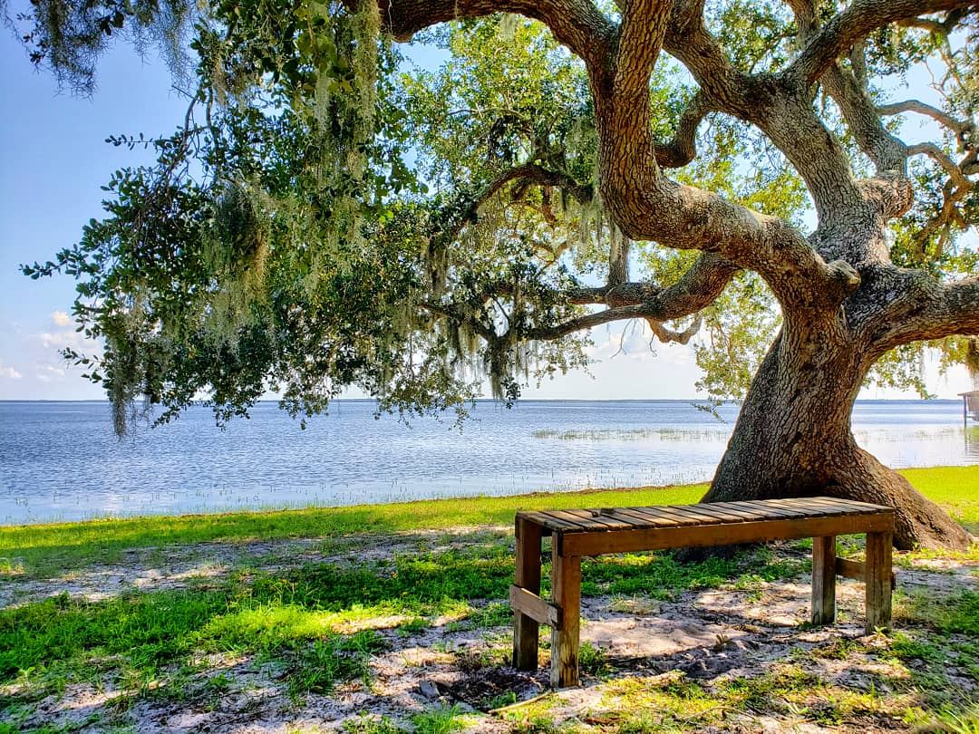 Fort Lane Park