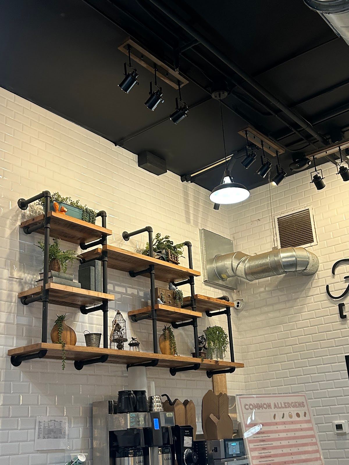Foxtail Coffee Co.