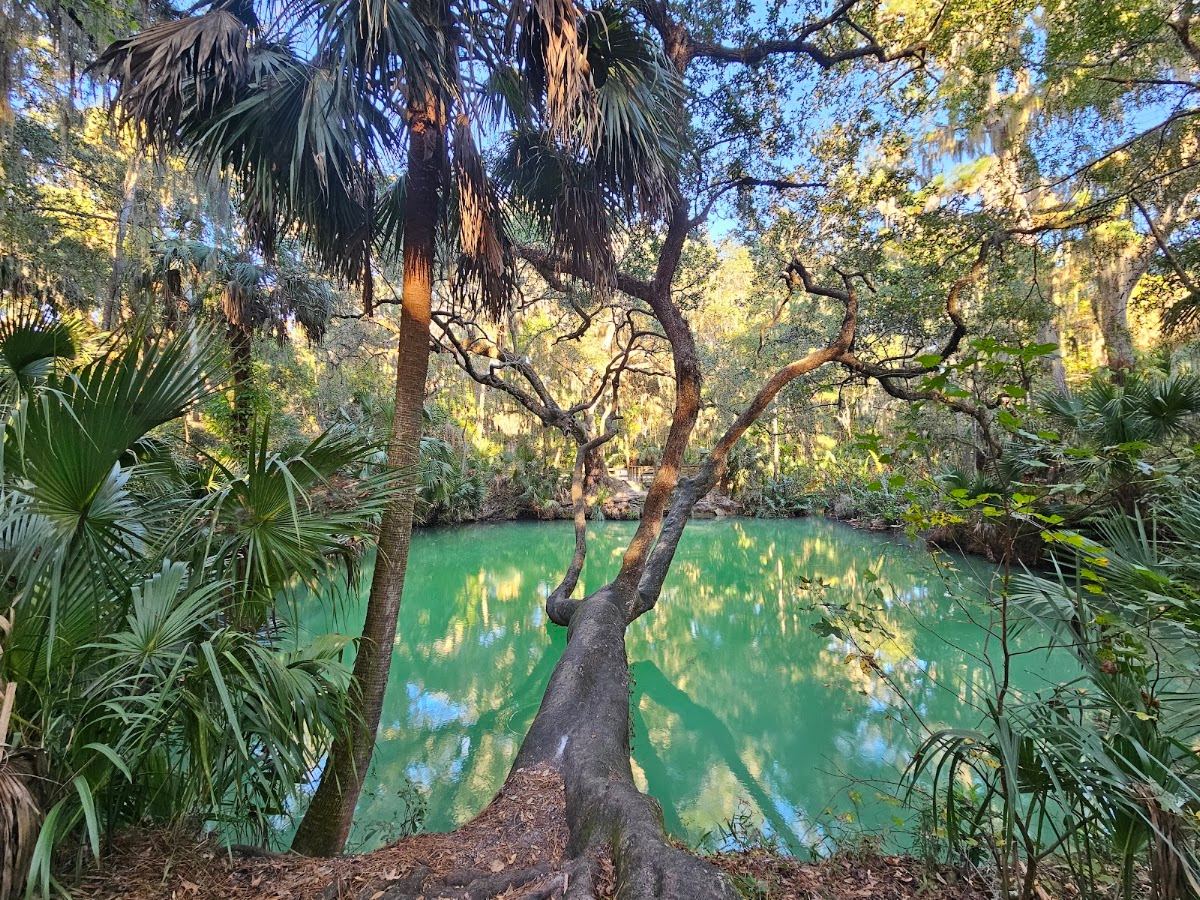 Green Springs Park