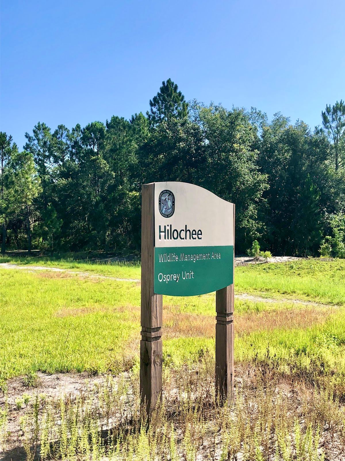 Hilochee Wildlife Management Area, Osprey Unit