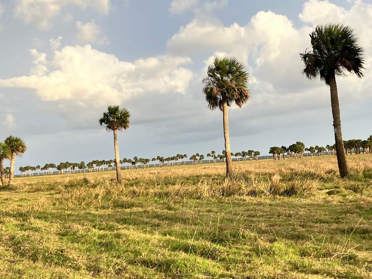 Marl Bed Flats Tract Trailhead
